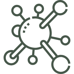 Molecular and Genetic Mechanisms